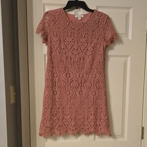 Francesca's Collections Pink Lace Mini Dress
